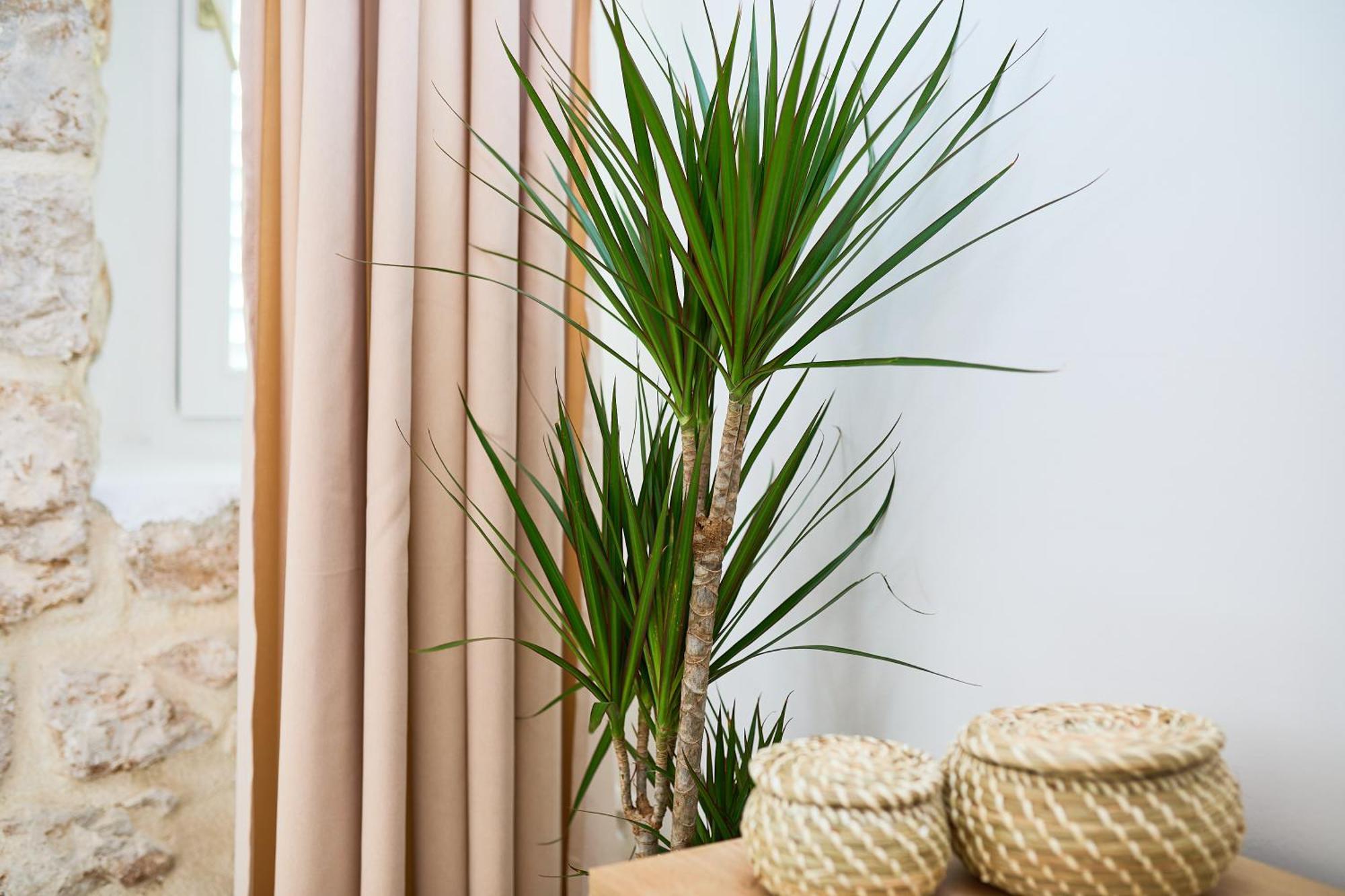 Apartment Iza Grada Dubrownik Zewnętrze zdjęcie